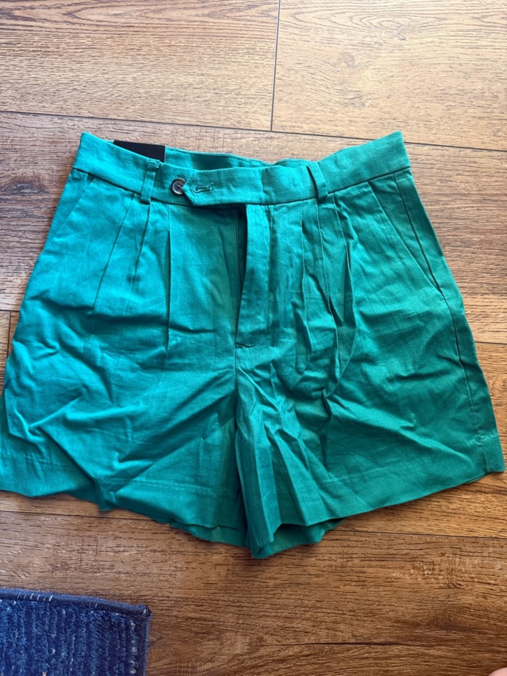 Banana Republic Teal High-Waist Pleated Women’s Shorts
